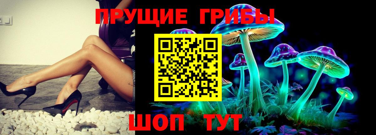 Псилоцибиновые грибы мицелий  Псилоцибиновые грибы прущие грибы  Вход с VPN  Славгород 